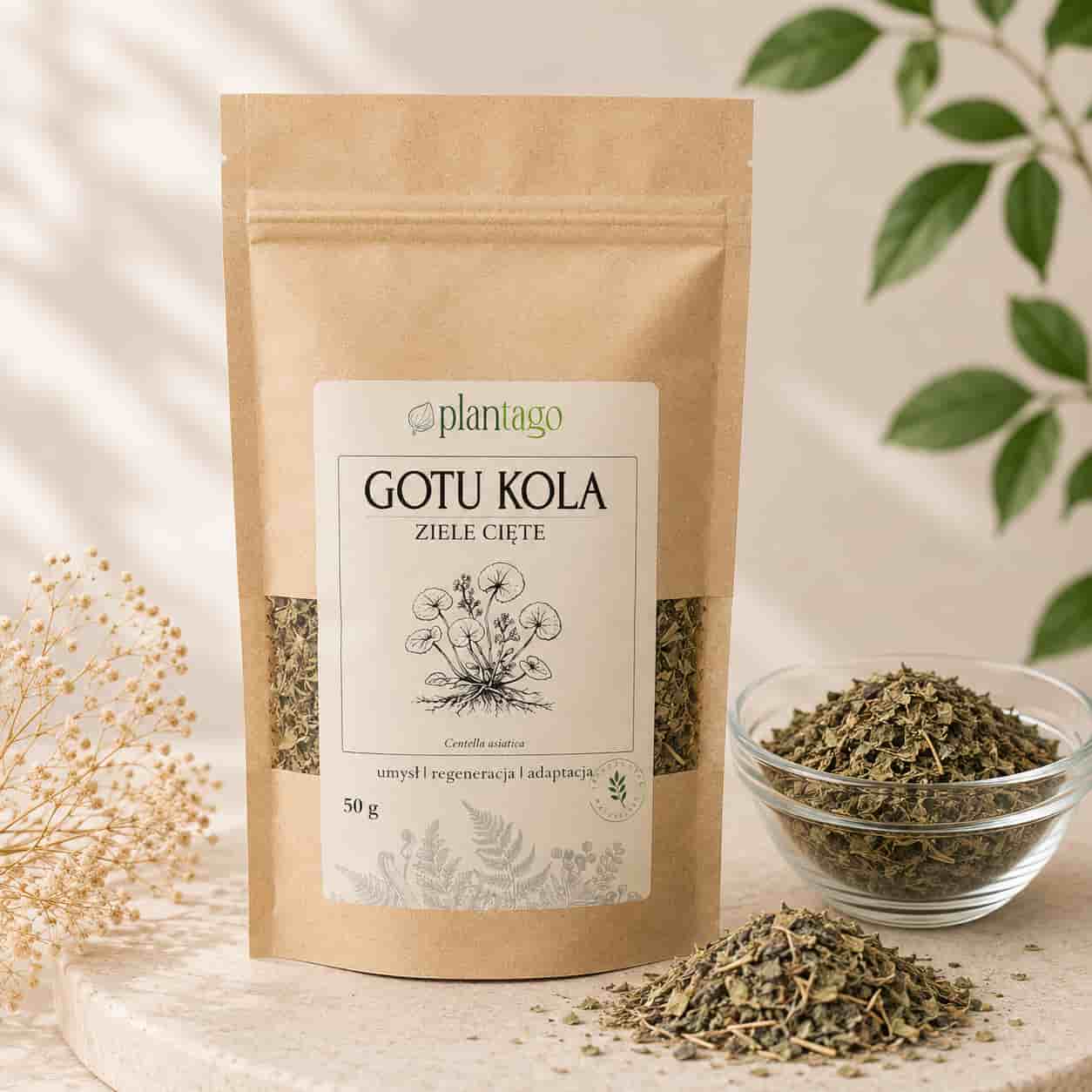 Gotu kola